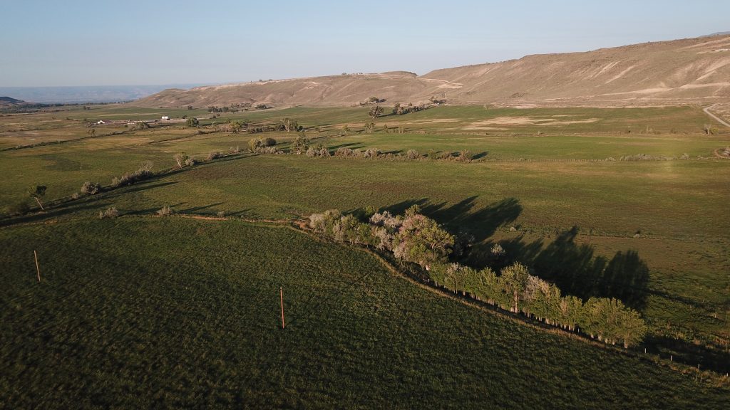 Range land in North Park Colorado