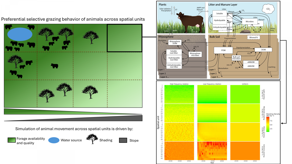 Model Description – MEMS process-based ecosystem model