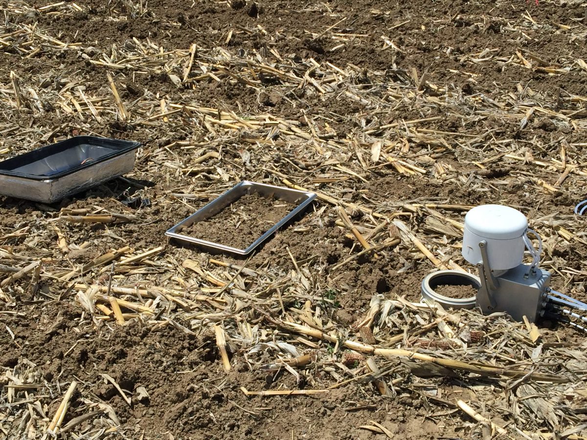 Current Research – MEMS process-based ecosystem model