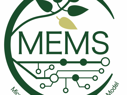 MEMS process-based ecosystem model